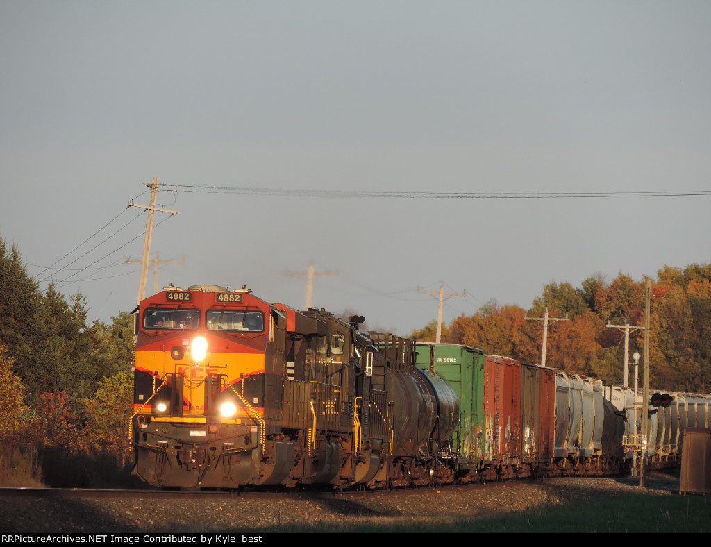 KCS kissed by the golden hour 